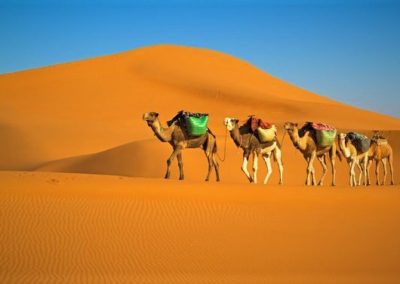 7 Days Tour From Tangier To Marrakech Via Merzouga Desert